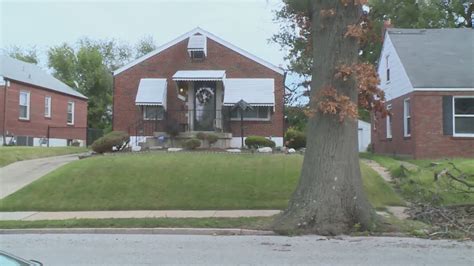 Dead tree is a big problem for elderly St. Louis homeowner